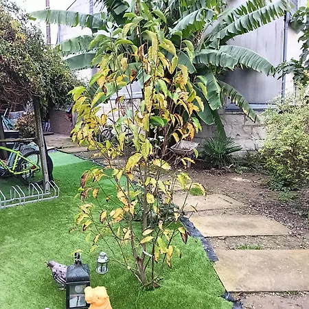 Deux Petites Maisons Separees-ville 別荘